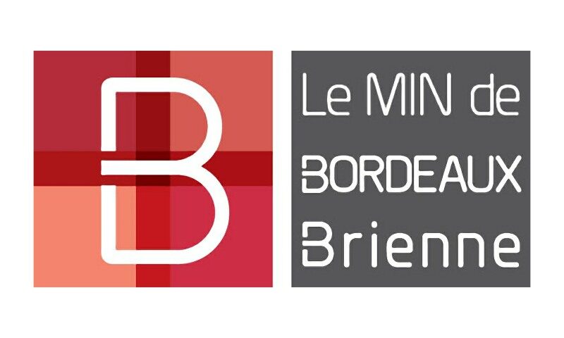 MIN BORDEAUX BRIENNE